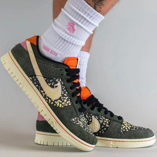 Nike Dunk Rainbow Trout